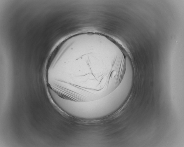 X0000111121342200908111011