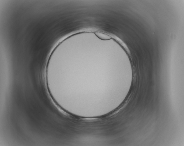 X0000111121343200908111011