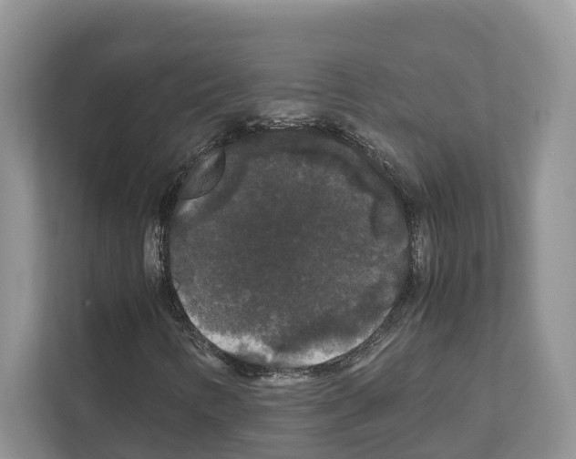 X0000111121346200908111011