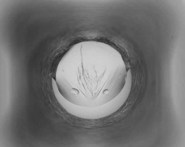 X0000111121349200908111011
