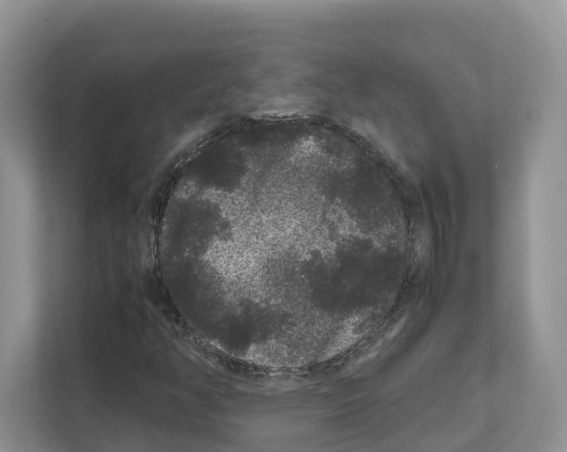 X0000111121350200908111011