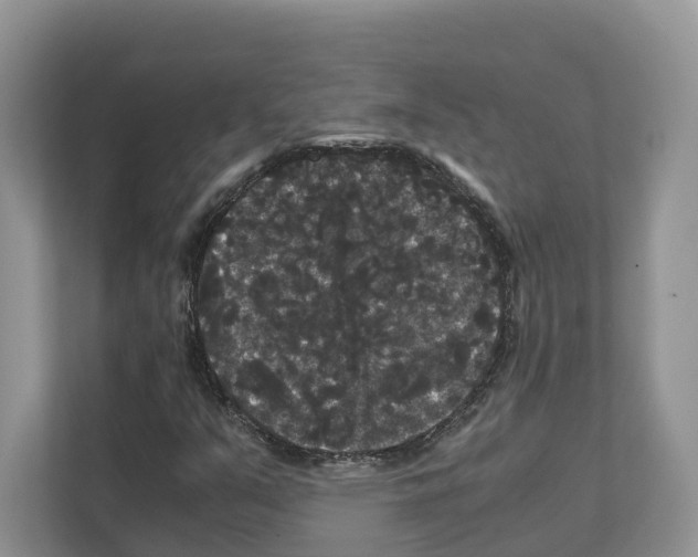 X0000111121351200908111011