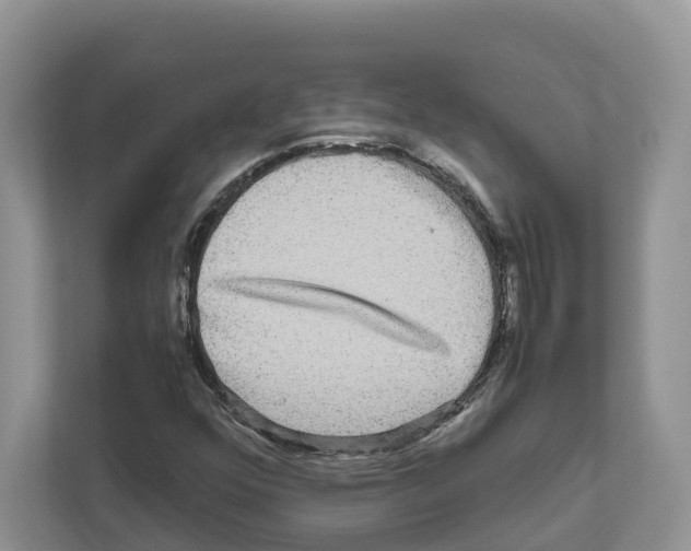X0000111121352200908111011