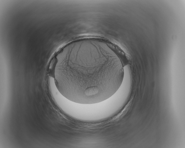 X0000111121357200908111010