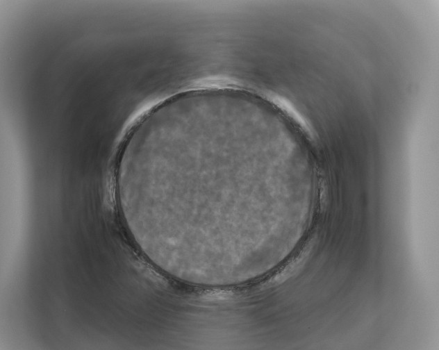 X0000111121358200908111010