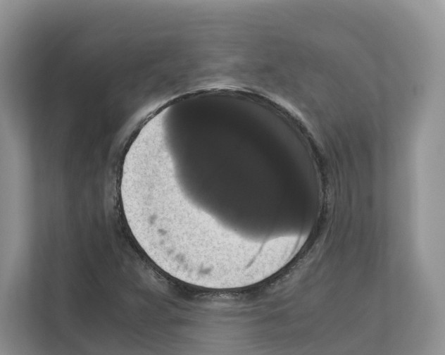 X0000111121359200908111010