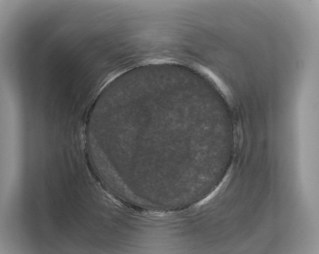 X0000111121361200908111010