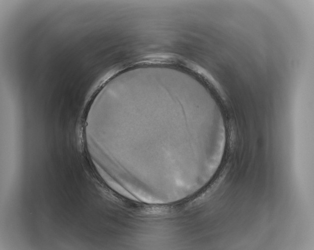X0000111121362200908111010