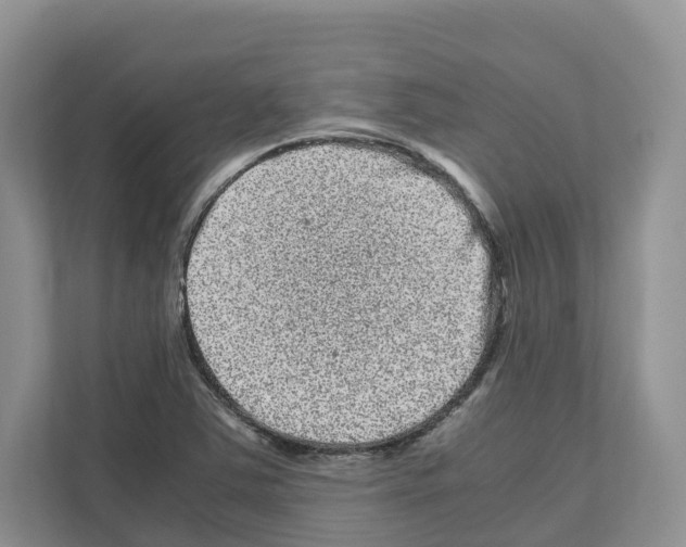 X0000111121363200908111010