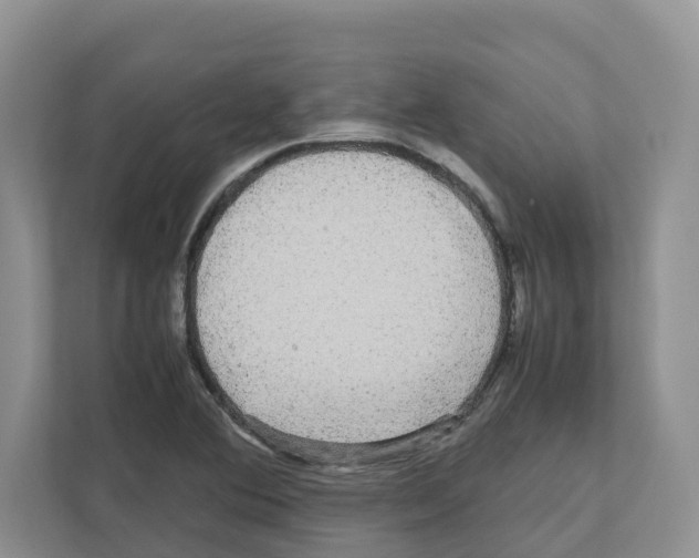 X0000111121364200908111010