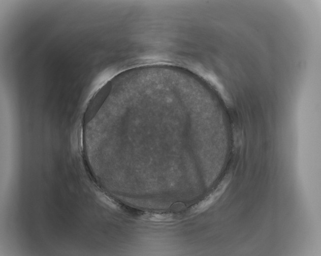 X0000111121365200908111010