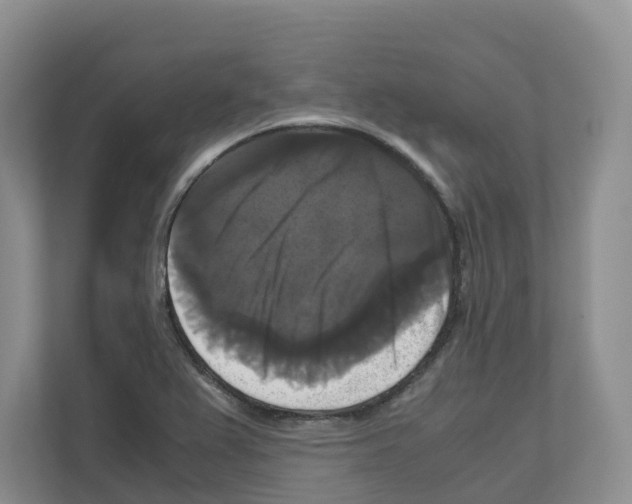 X0000111121367200908111010