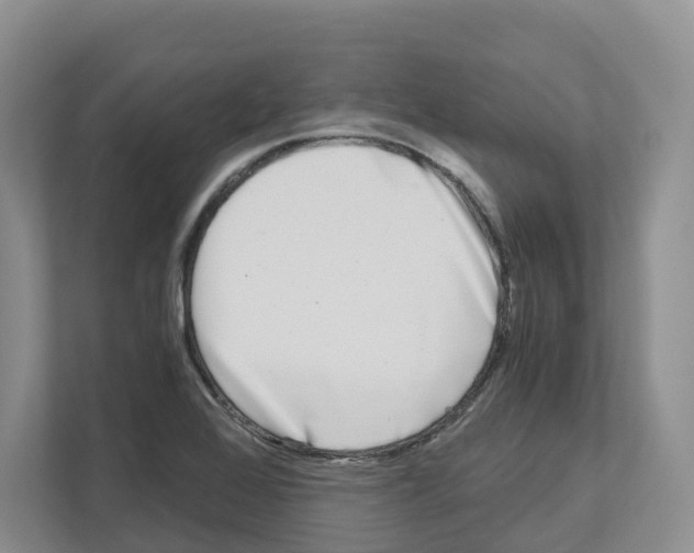 X0000111121368200908111010