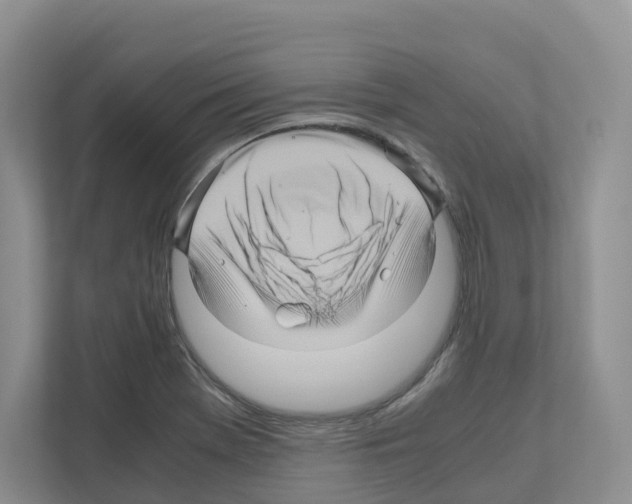 X0000111121369200908111010