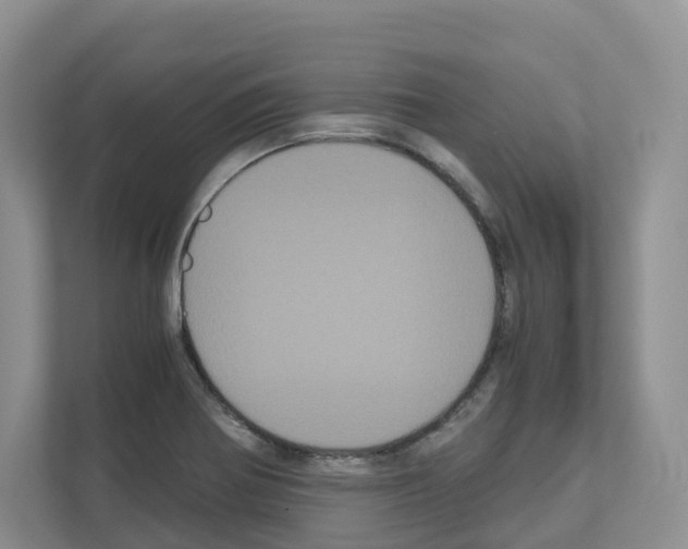 X0000111121370200908111010
