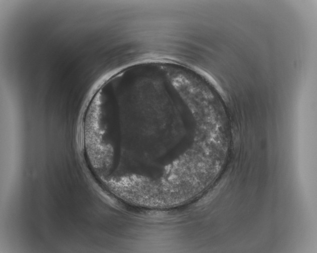 X0000111121371200908111010