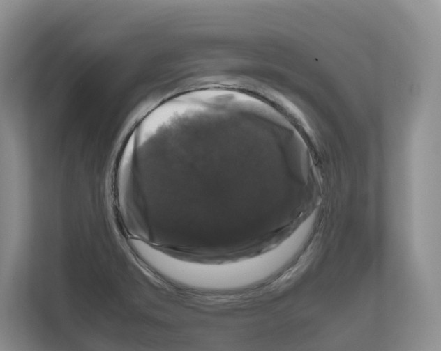 X0000111121373200908111010
