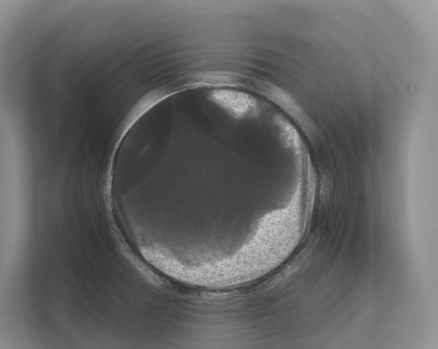 X0000111121378200908111010