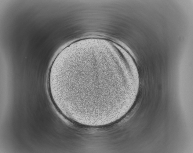 X0000111121379200908111010