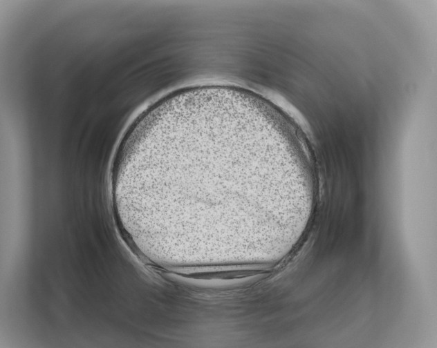 X0000111121380200908111010
