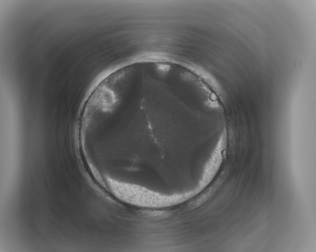 X0000111121382200908111010
