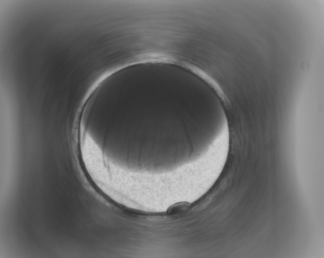 X0000111121383200908111010