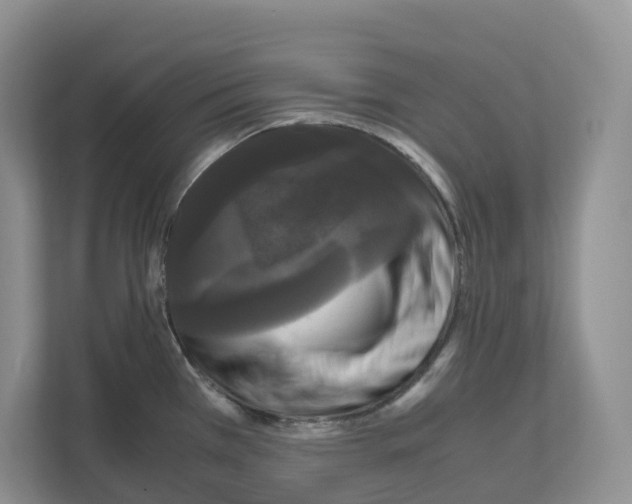 X0000111121385200908111010