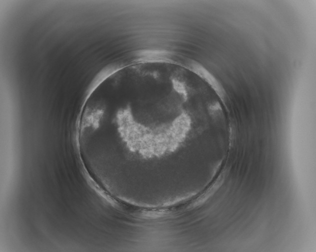 X0000111121386200908111010