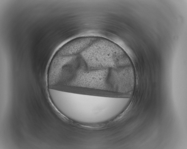 X0000111121388200908111010