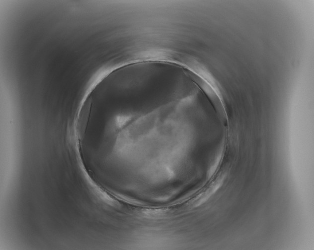 X0000111121389200908111010