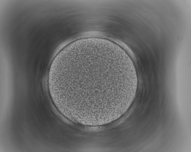 X0000111121390200908111010