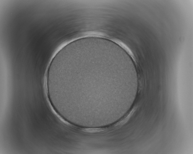X0000111121391200908111010