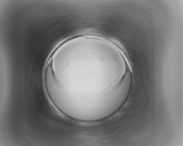 X0000111121392200908111010