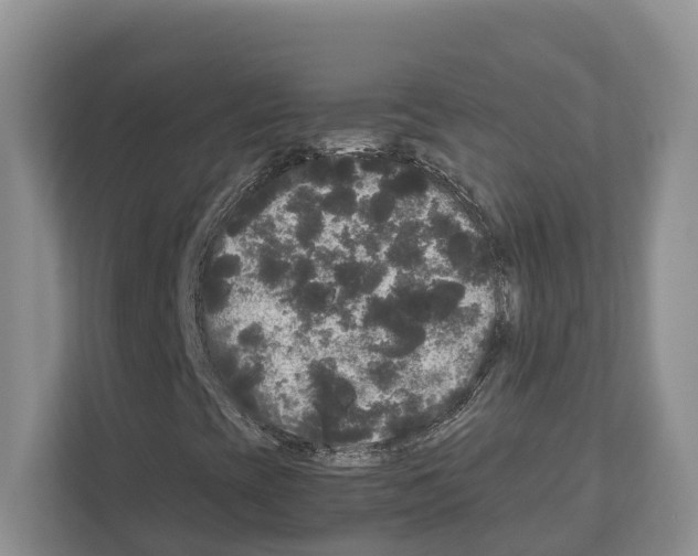 X0000111121393200908111009