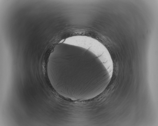 X0000111121394200908111009