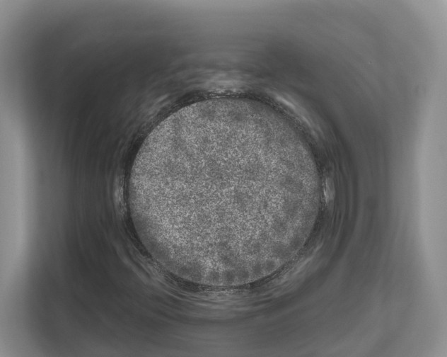 X0000111121396200908111009