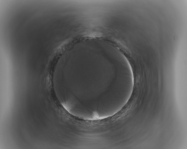 X0000111121398200908111009