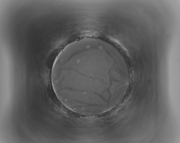 X0000111121399200908111009