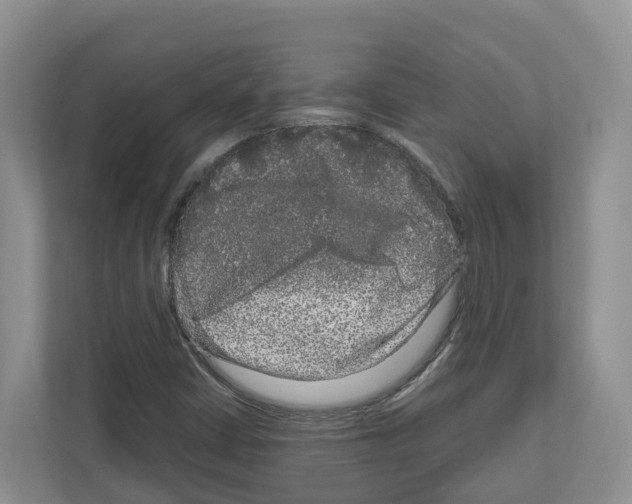 X0000111121402200908111010