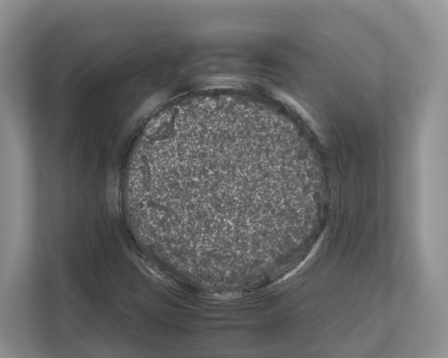 X0000111121403200908111010