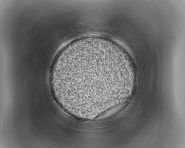 X0000111121404200908111010