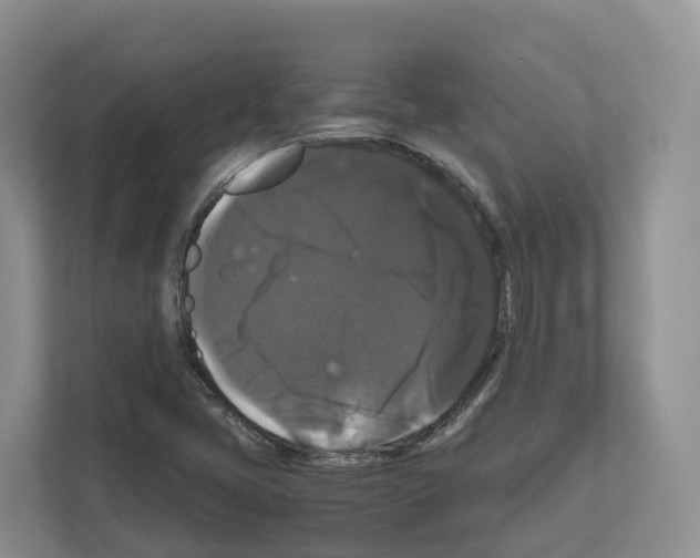 X0000111121405200908111010