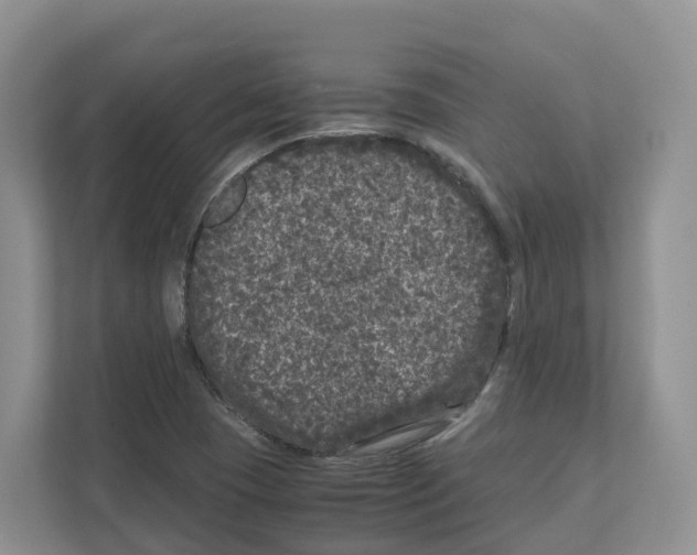 X0000111121409200908111010