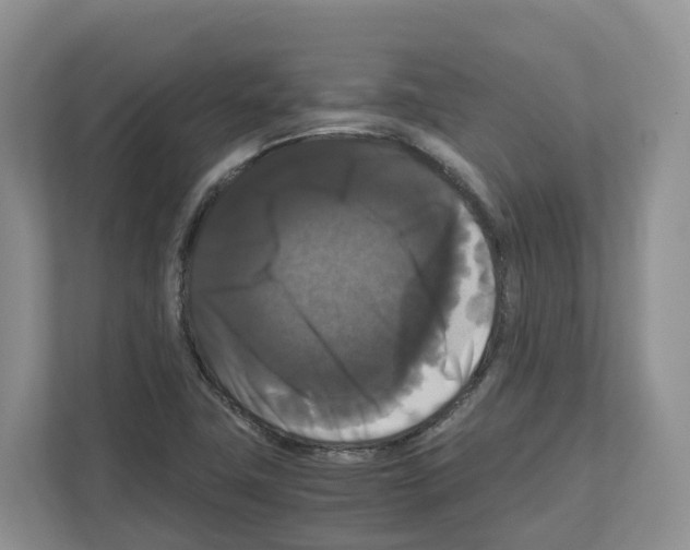 X0000111121411200908111010