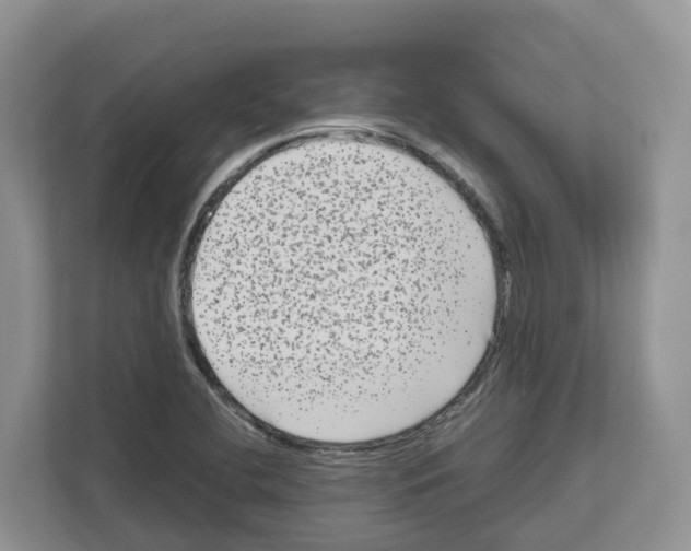 X0000111121412200908111010