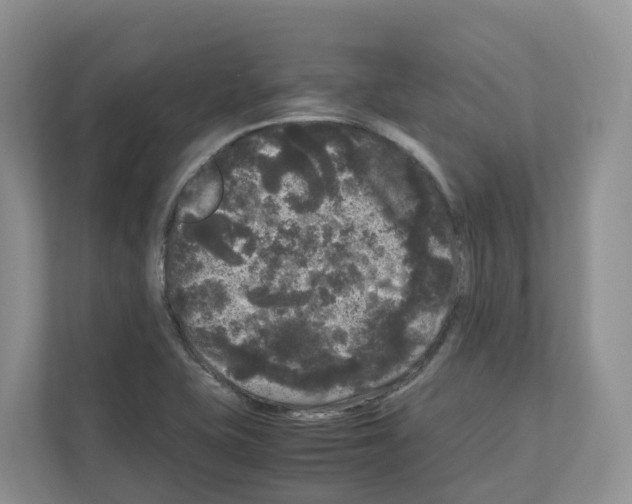 X0000111121415200908111010