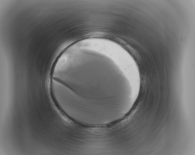 X0000111121418200908111010