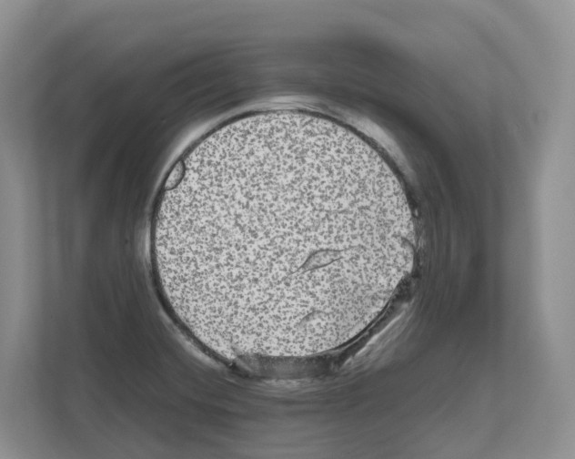 X0000111121420200908111010