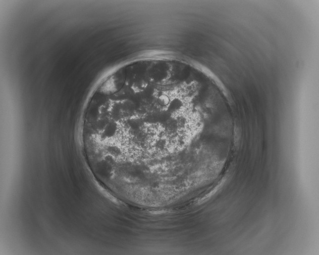 X0000111121421200908111010