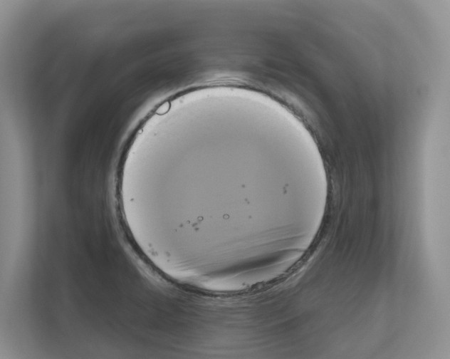 X0000111121422200908111010